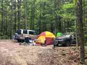 Forest pitches