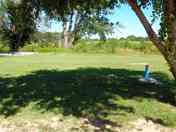 Shaded spot with water supply