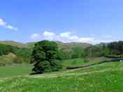 Eskdale Valley Campsite (added by manager 20 May 2024)
