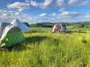 Camping pitches