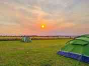 Grass tent pitches