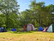 Quiet rural camping just 12 miles from central London (added by manager 15 Aug 2022)