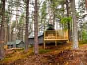 Bothies among pine trees (added by manager 09 Aug 2022)