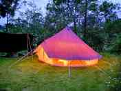 Wild grass pitches