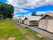 Safari tents