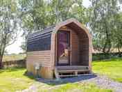 Pods close to the treeline