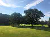 Grass tent pitches