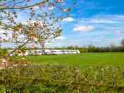 Pitches on site