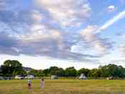 Pitches on site