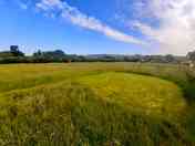 Bonny grass pitch