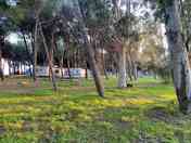 Shaded pitch