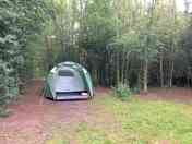 Our pitch in the woods!