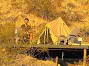 Happy camper at sunrise