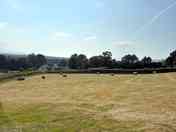 Camping field