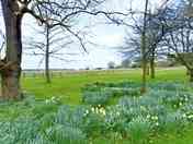 Surrounded by luscious nature reserve