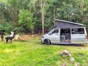 Campervan pitch