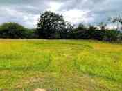 Pondside pitch
