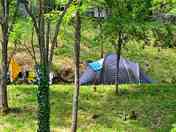 Tent pitch