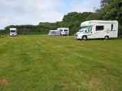 Grass pitches