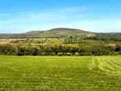 Grass pitch