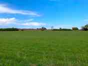 Grassy pitches