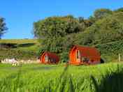 The pods