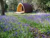 Camping pods
