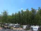 Trees behind the pitches (added by manager 18 Oct 2016)