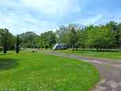 Grass pitches