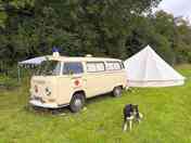 VW Bus & Dogs Welcome