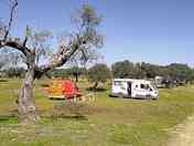 Grass pitches