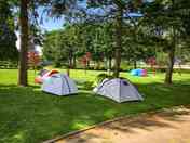 Backpacker pitches