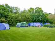 Tent pitches