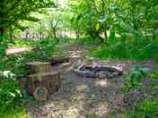 Woodland pitch with firepit