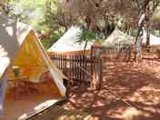 Cosy bell tents under shade (added by manager 28 Dec 2023)