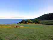 Meadow field
