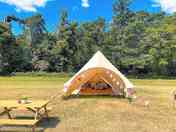 Sunny days at Hammonds Glamping