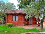 Cottage sitting in greenery