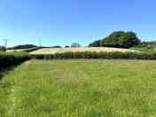 Camping field
