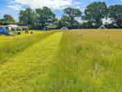 Visitor image of the meadow in early June (added by manager 16 Sep 2022)