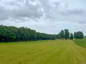 Spacious grass pitching area