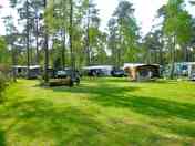 Electric grass pitch