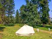 Tipi