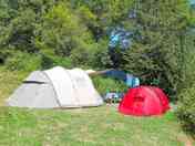 Tent pitch sheltered by trees