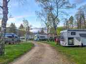 Grass pitches