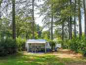 Pitches between the trees