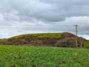 Level grass pitches