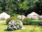 One view the campsite on a sunny day
