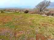 Bryn 6