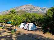 Tent pitches